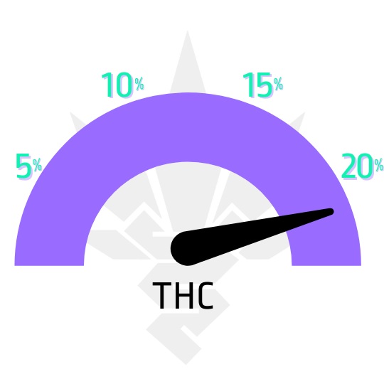 Jack 47 Fast Version semena marihuany - ukazatel THC